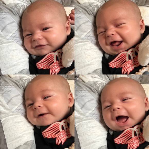 Meet your Posher, Tara - Picture 5 of 9